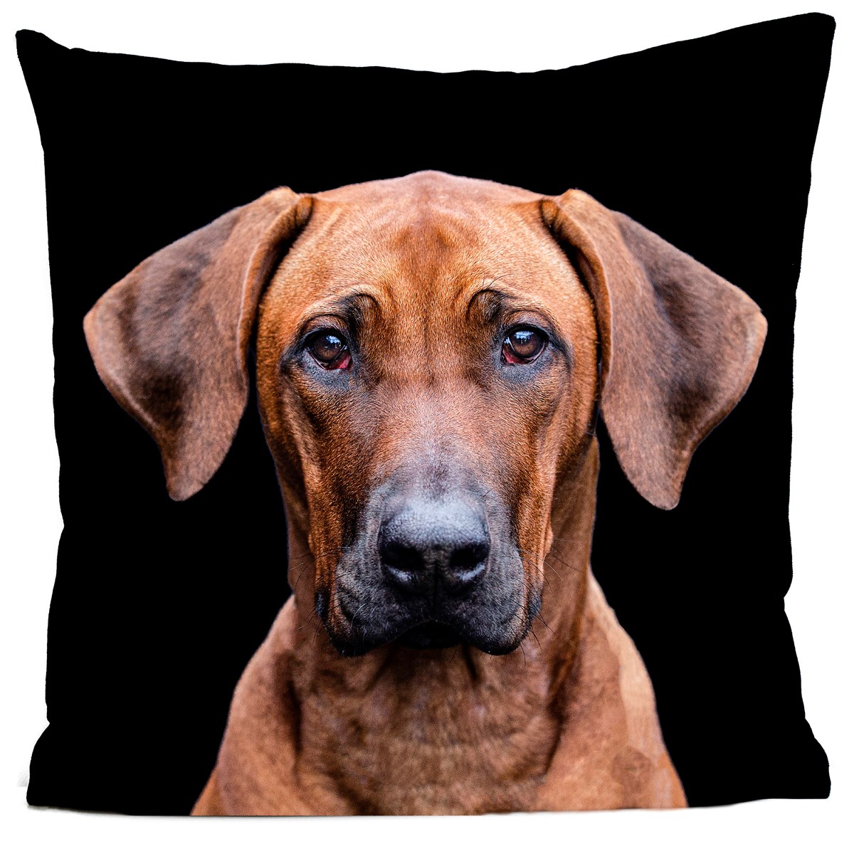 Coussin VIVIAN LA RHODESIAN