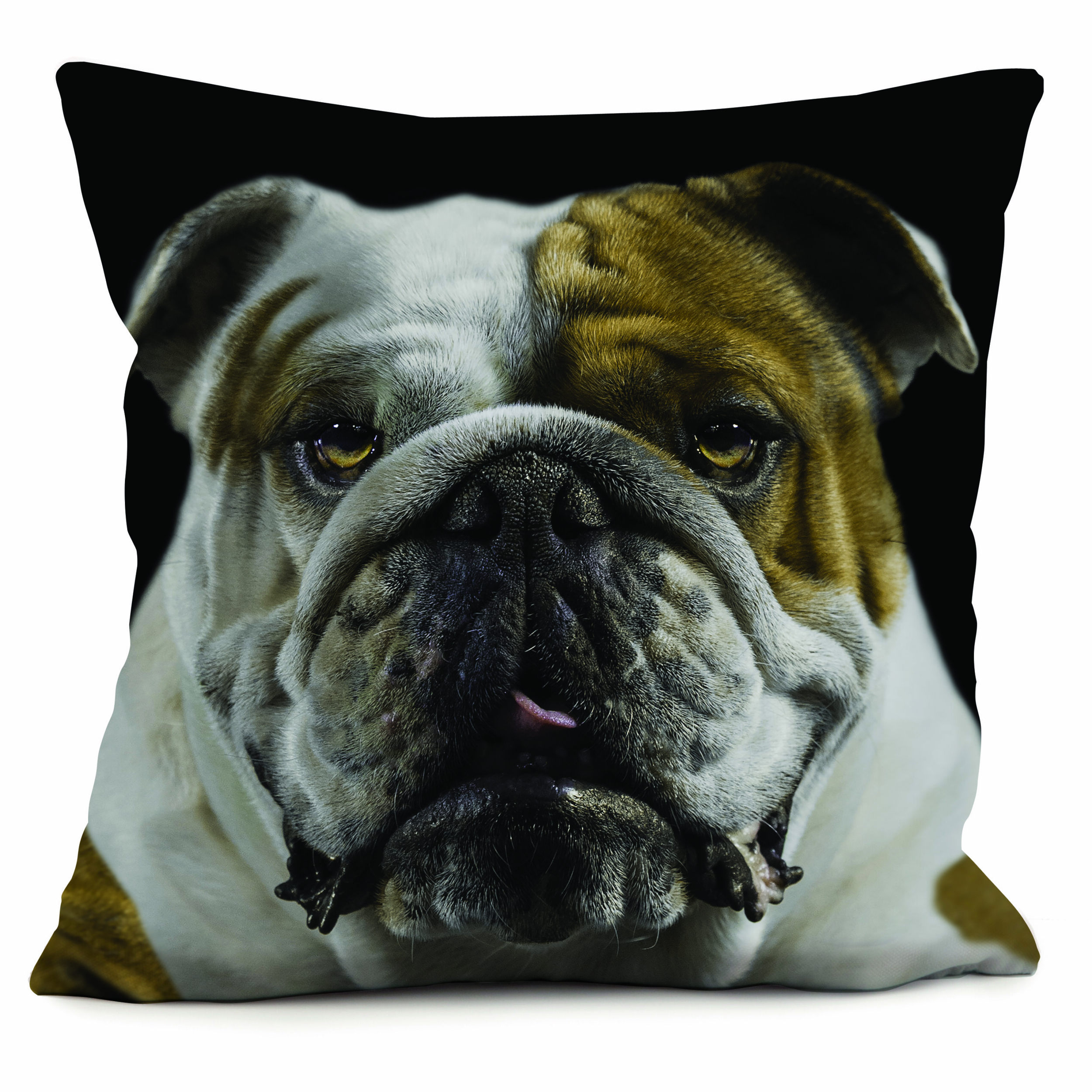 Coussin Bulldog Jouy LAISSEZ LUCIE FAIRE Rennes