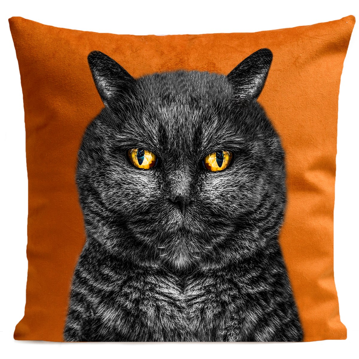 Coussin EDGAR