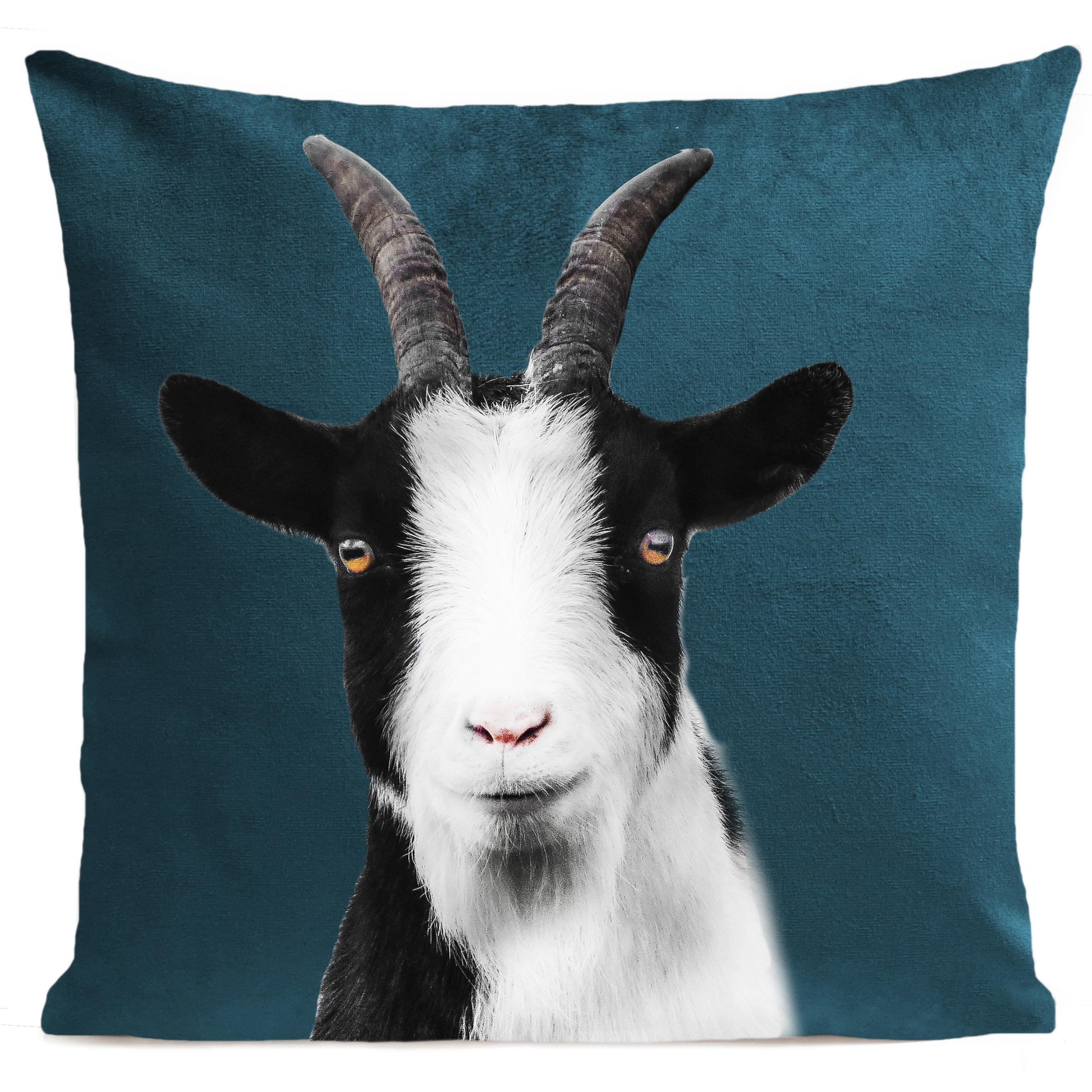 coussin-baby-goat-bleu-canard