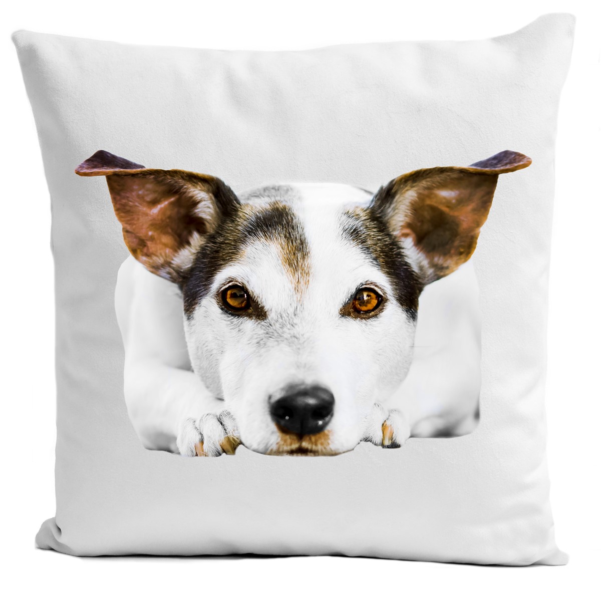 Coussin Doggy