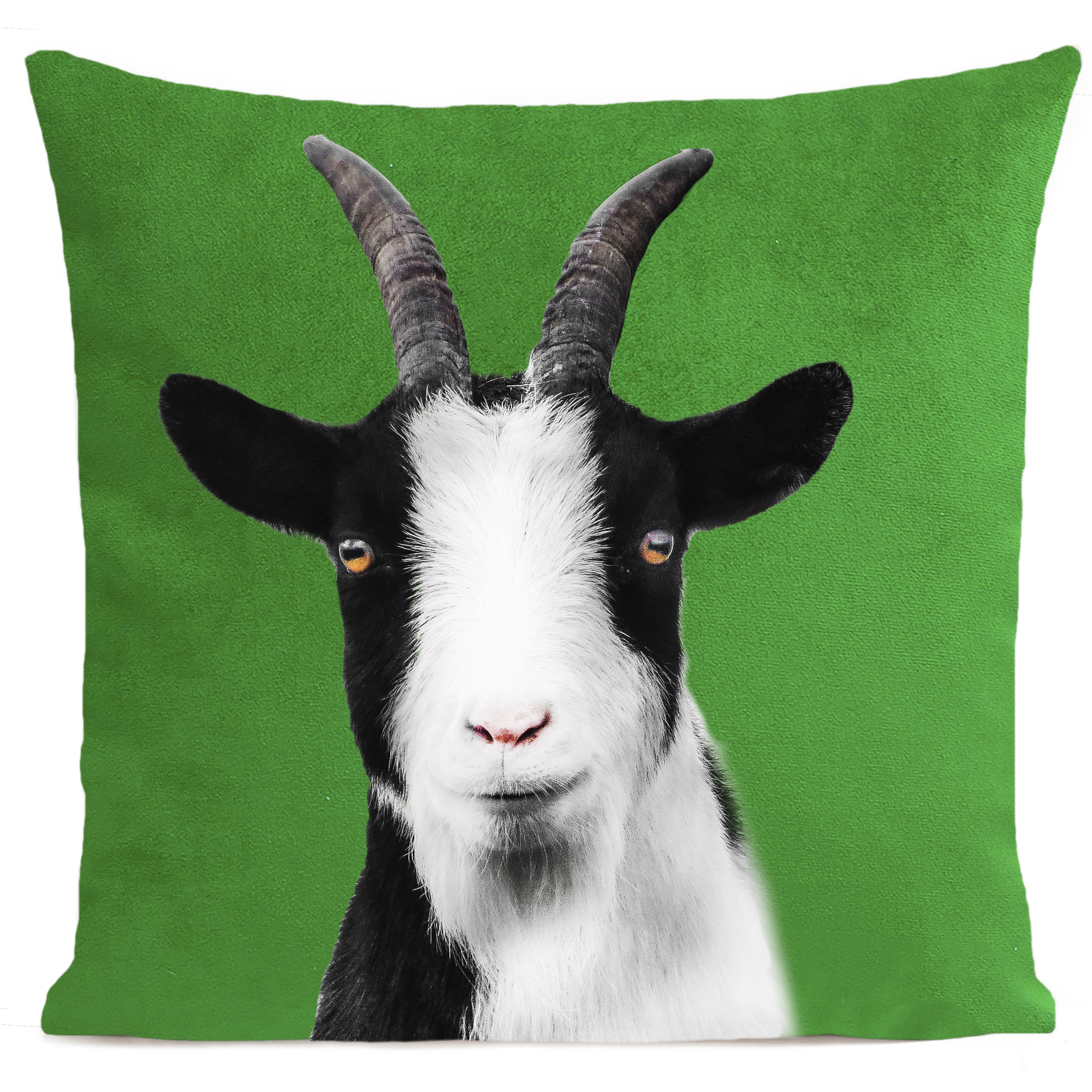 coussin-baby-goat-vert-vif