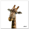tableau_girafe_blanc
