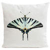 coussin-zebra-butterfly-blanc