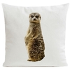 Coussin Suricate