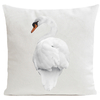 coussin-swan-blanc