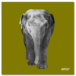 tableau_elephant_vert