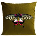 coussin-pink-butterfly-vert-olive