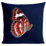 coussin-red-butterfly-bleu-fonce
