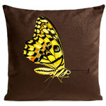 Coussin Yellow Butterfly Marron