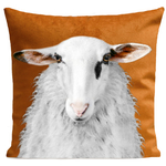 coussin-mr-felix-rouille