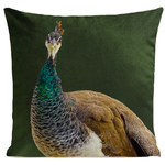 coussin-mme-peacock-vert-bouteille