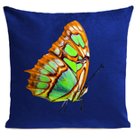 coussin-orange-butterfly-bleu-klein