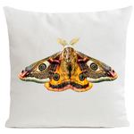 coussin-giant-peacock-moth-blanc