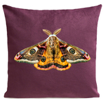 coussin-giant-peacock-moth-prune