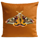 coussin-giant-peacock-moth-rouille