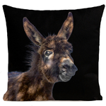 Coussin Baby Donkey Noir velours - Artpilo