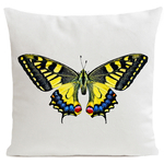 coussin-tiger-butterfly-blanc