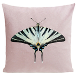 coussin-zebra-butterfly-rose-pastel