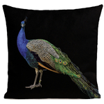 coussin-royal-peacock-noir