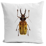 coussin-insecte-viii-blanc