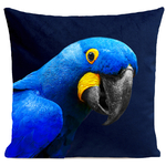coussin-yaya-the-parrot-bleu-fonce