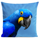 coussin-yaya-the-parrot-bleu-vif