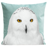 coussin-snowy-owl-vert-d-eau