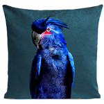 coussin-punky-parrot-bleu-canard