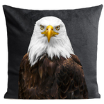 coussin-mr-eagle-gris-ardoise