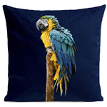 coussin-blue-parrot-bleu-fonce