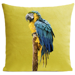 coussin-blue-parrot-jaune-vif