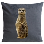 Coussin Suricate