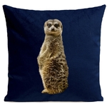 Coussin Suricate