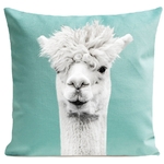 Coussin Serge