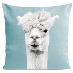 Coussin Serge