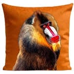 Coussin Bobo