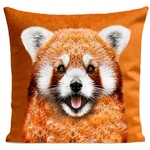 Coussin Pandinou