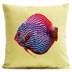 Coussin Mister Red