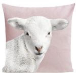 coussin-wooly-rose-pastel