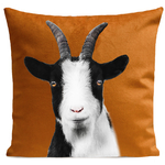 coussin-baby-goat-rouille