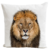 LION_KING_C4