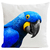 coussin-yaya-the-parrot-blanc