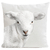 coussin-wooly-blanc