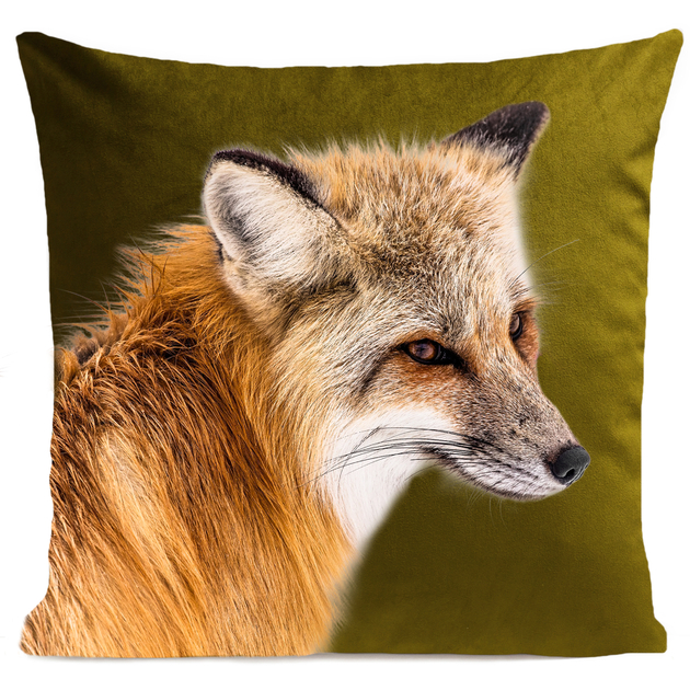 Coussin imprimé animalier coton funny renard orange Today