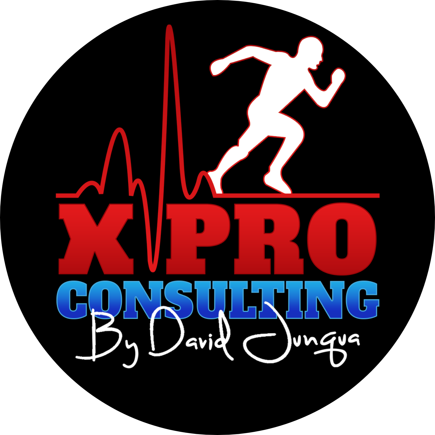 XPRO CONSULTING