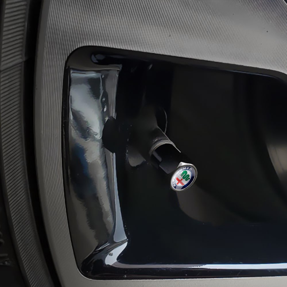 compatibilidad universal Alfa Romeo
