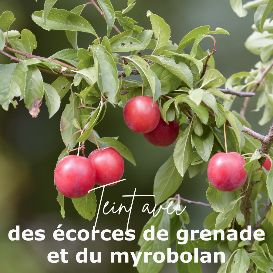 Plantes du coloris sable rose