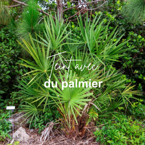Galet