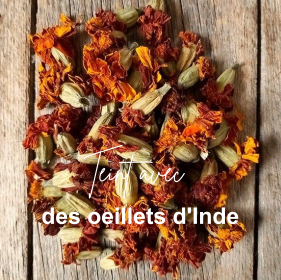 Plantes du coloris Pêche - Natura Feel